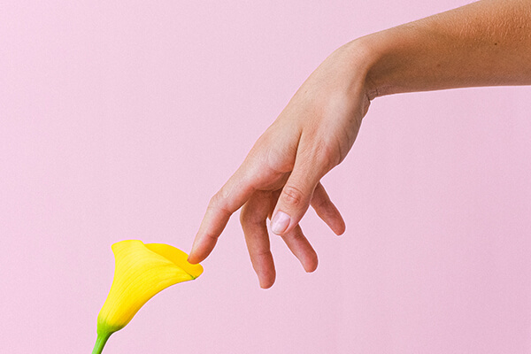 hand touching yellow flower