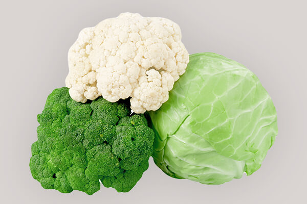 cabbage and broccoli