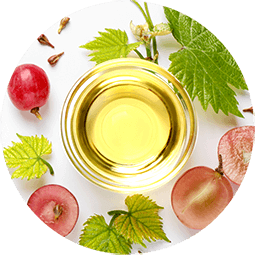grapeseed oil icon