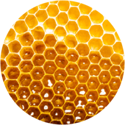 Ingredient - Manuka Honey